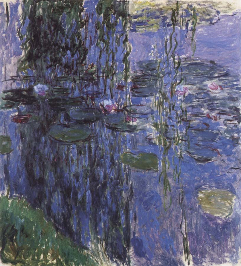 Water-Lilies